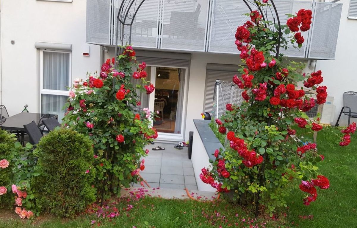 Draisgasse, 8010 Graz; ID:0
